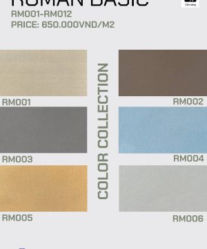 ROMAN Basic 1 SKK