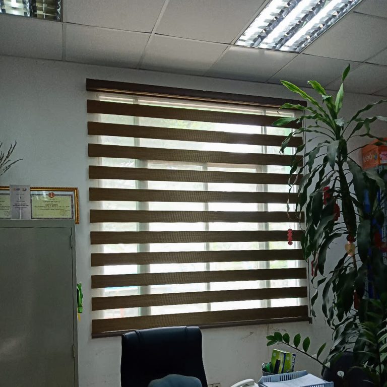 Rèm cầu vồng Phạm Văn Chiêu Gò Vấp 250627 - Ảnh 9