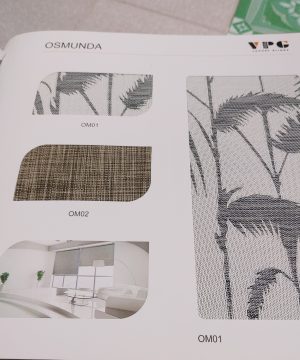 osmunda h